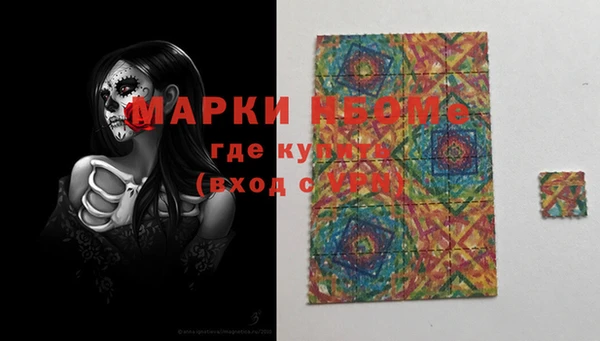 дживик Богородицк