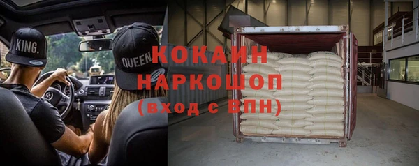 дживик Богородицк