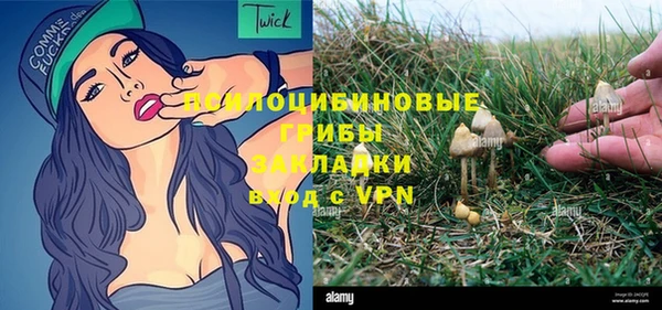 дживик Богородицк