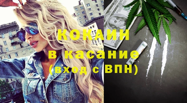 дживик Богородицк