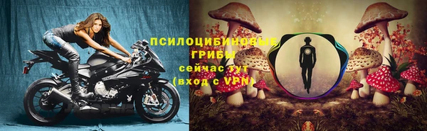 дживик Богородицк